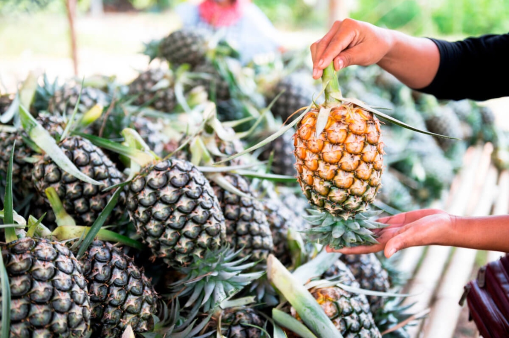 Prachuap Pattavia Pineapple